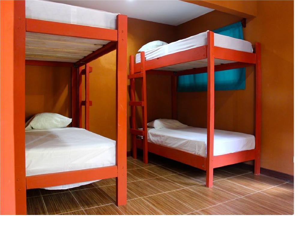 Coral Reef Surf Hostel And Camp Тамариндо Номер фото